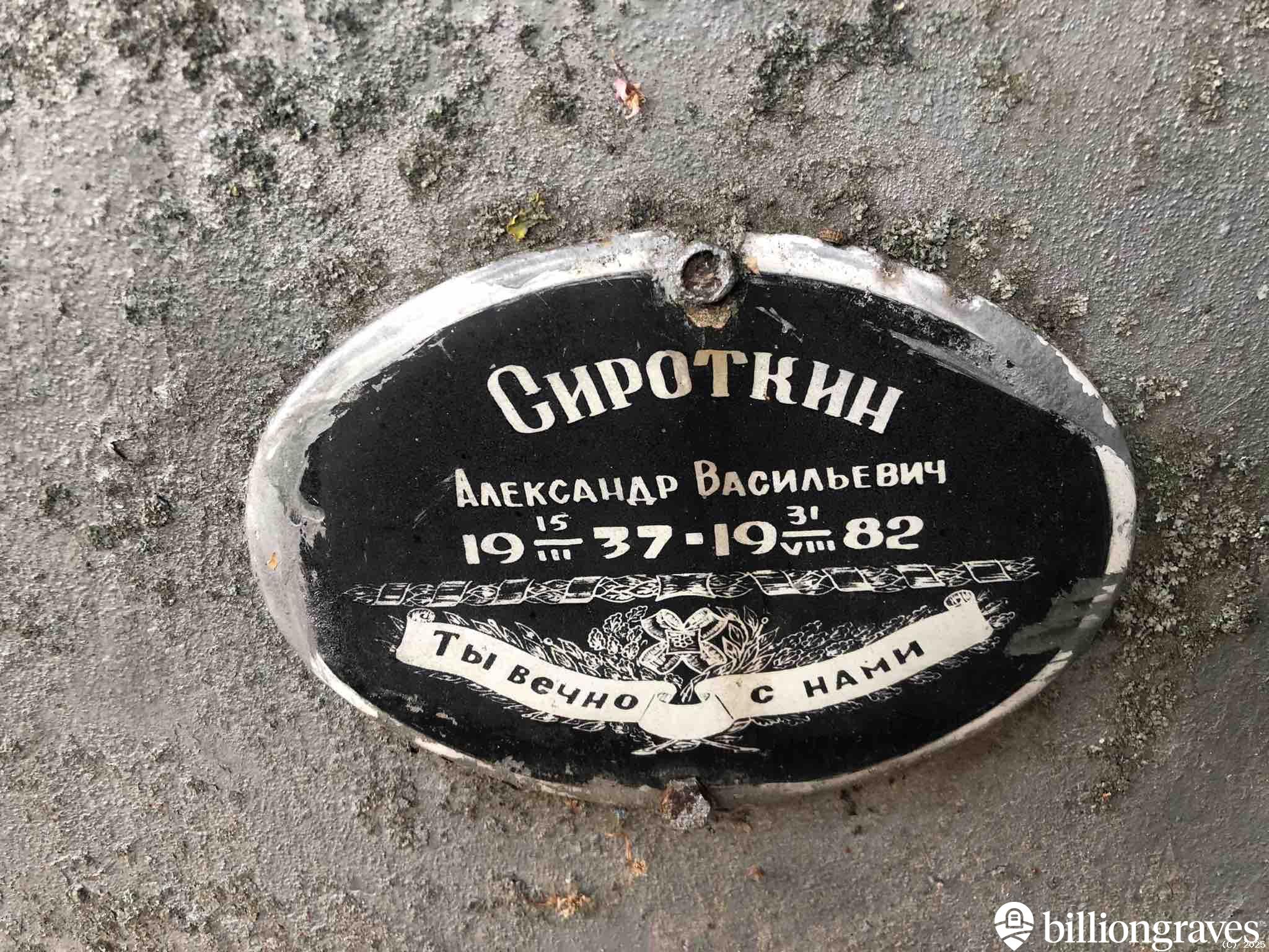 Сироткина Анастасия Николаевна