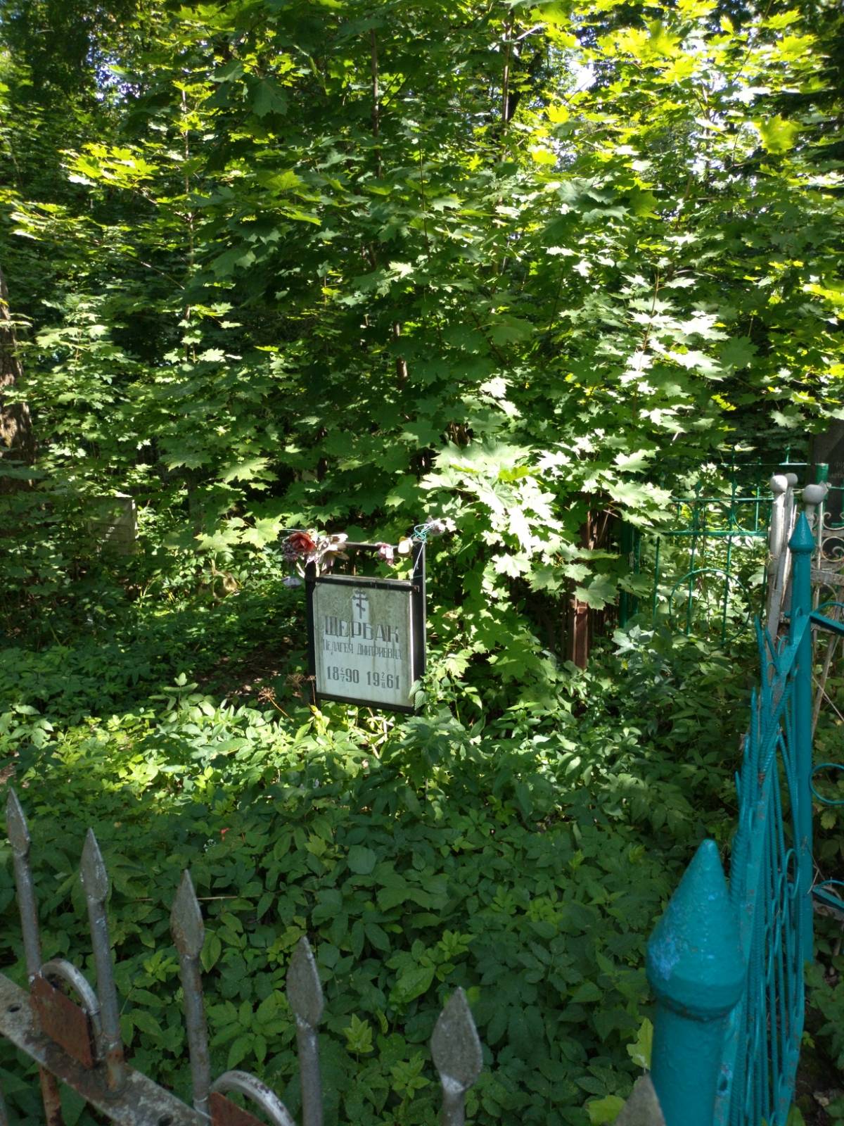 Щербак Пелагея Дмитриевна