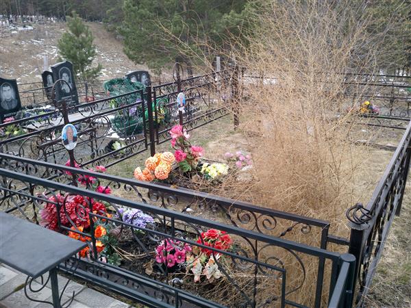 Драчевская Анна Александровна