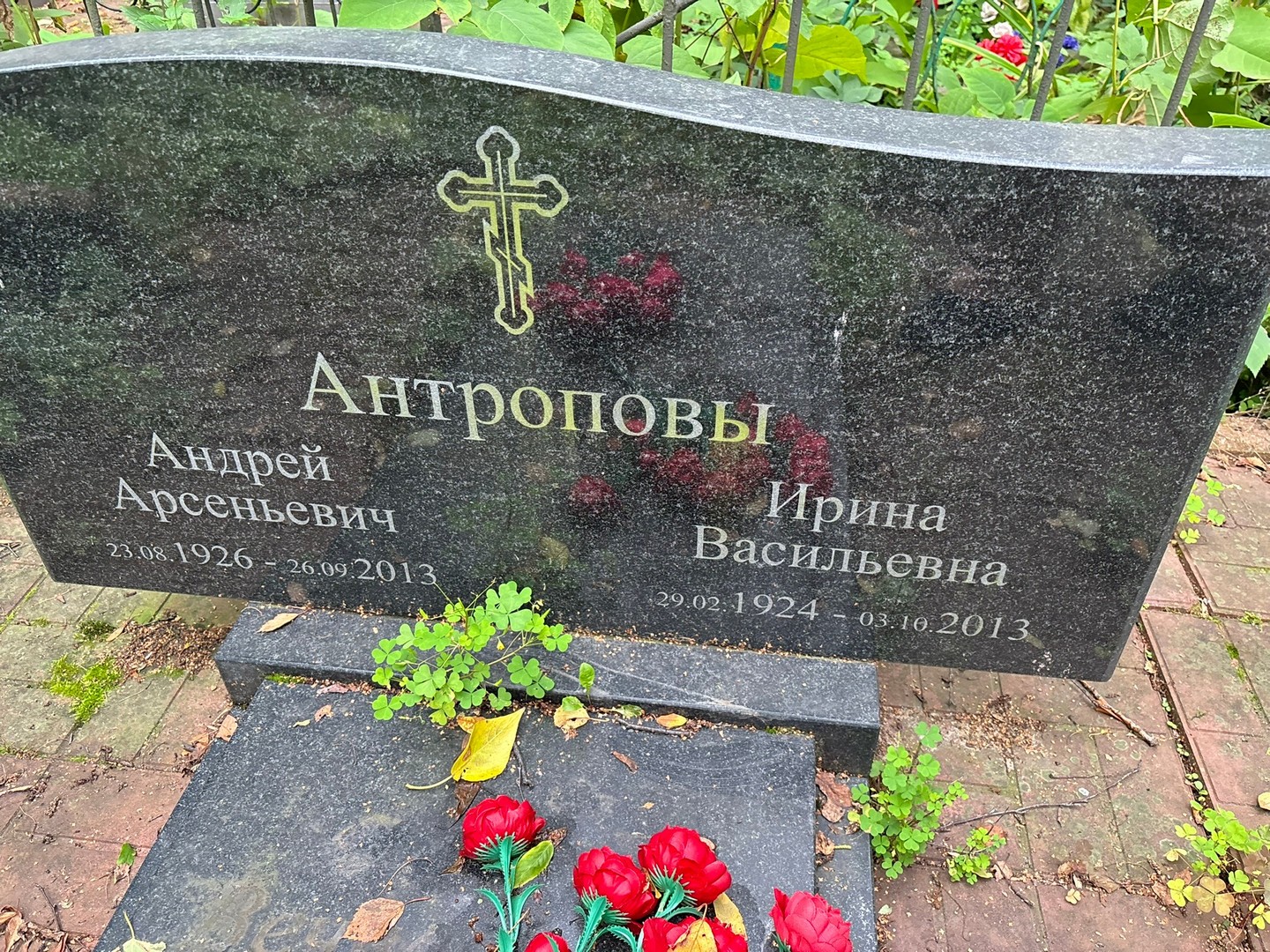 Антропова