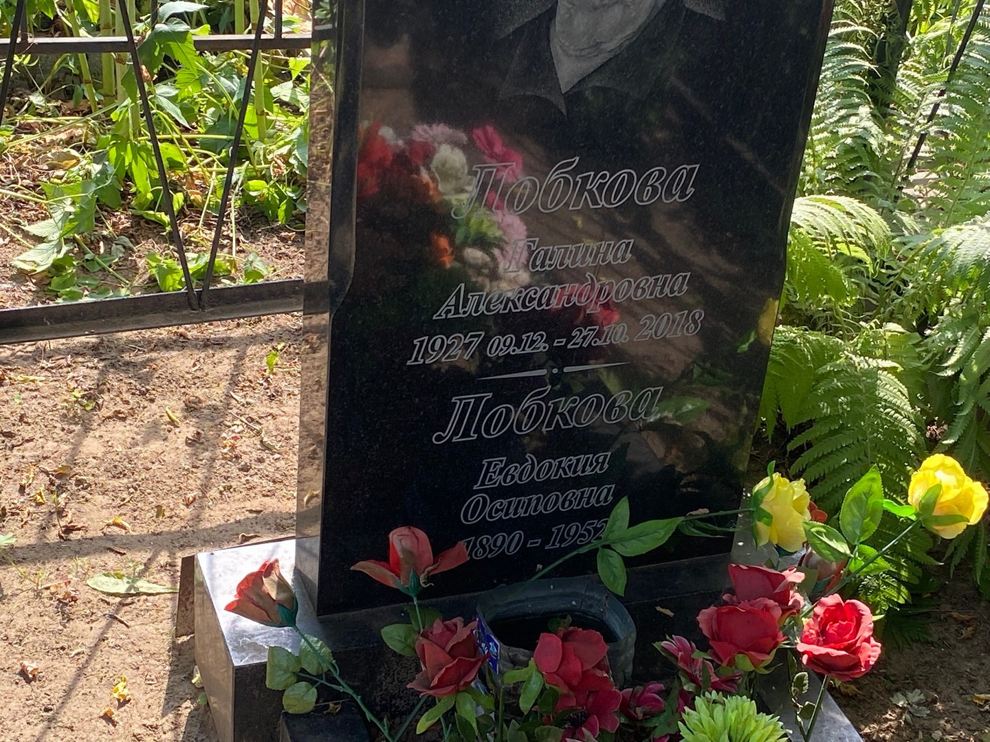 Лобкова