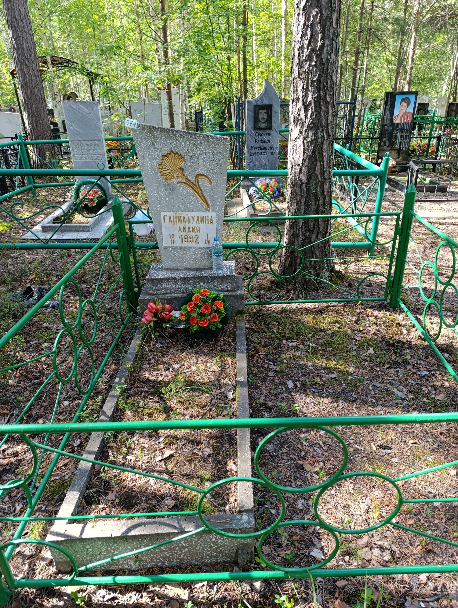 Ганиатулина Лилия