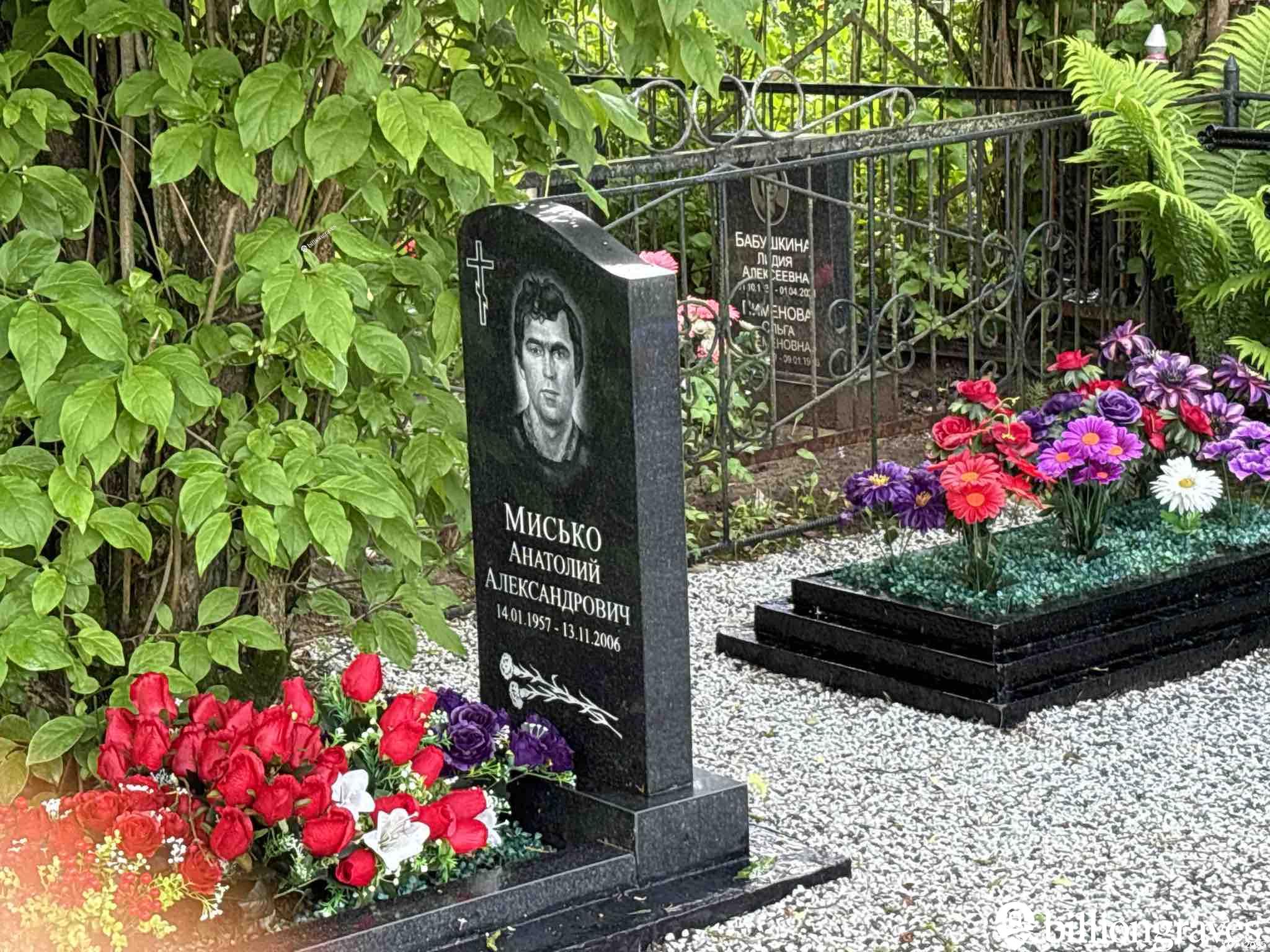 Мисько Анатолий Александрович