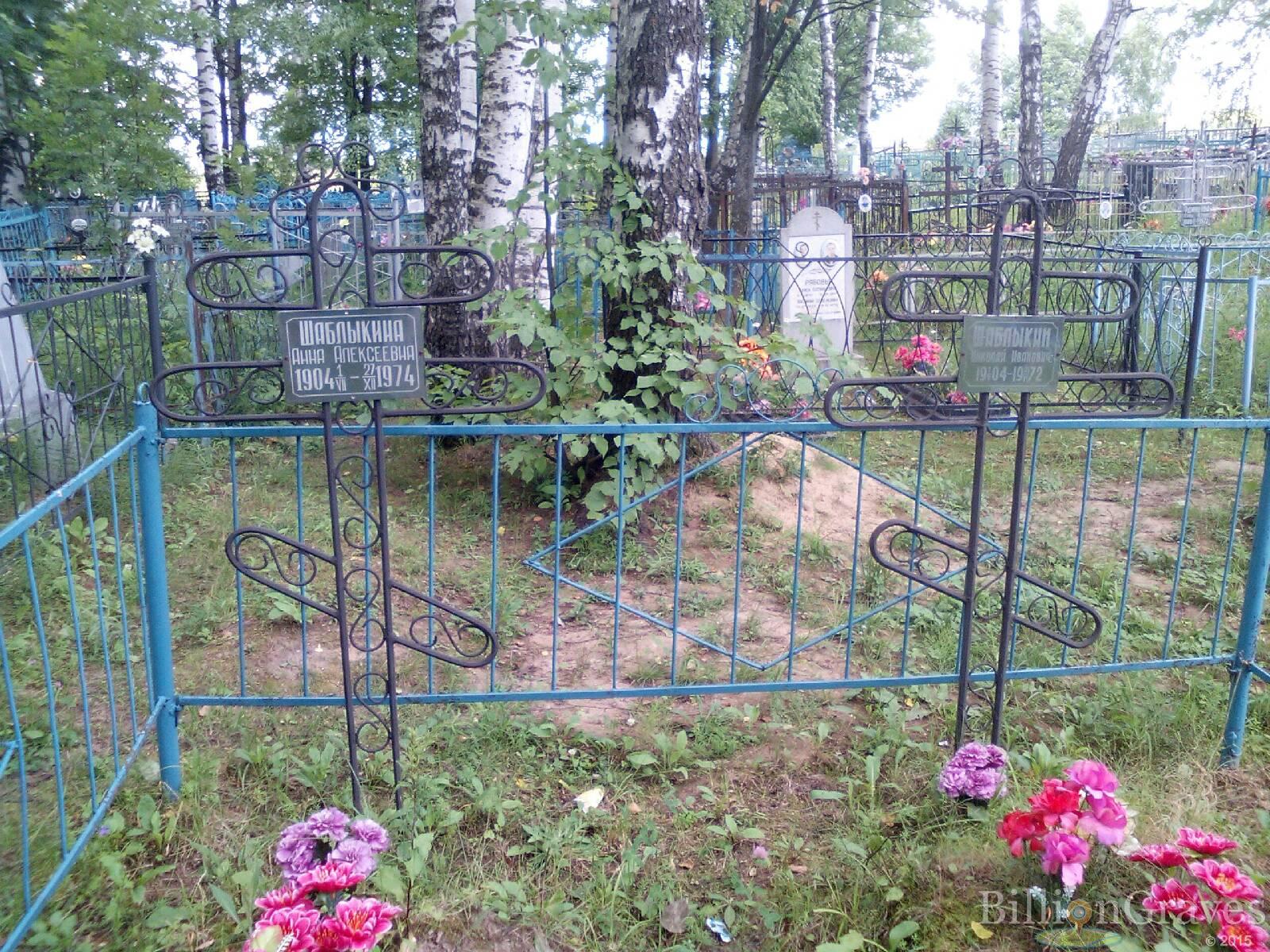 Шаблыкина Анна Алексеевна