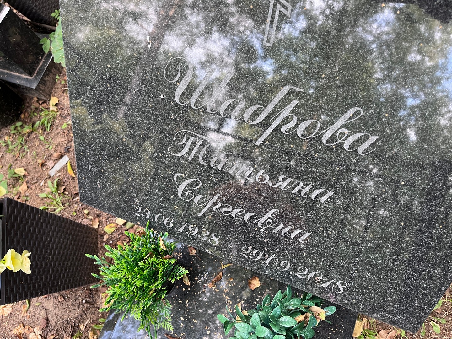 Шаброва