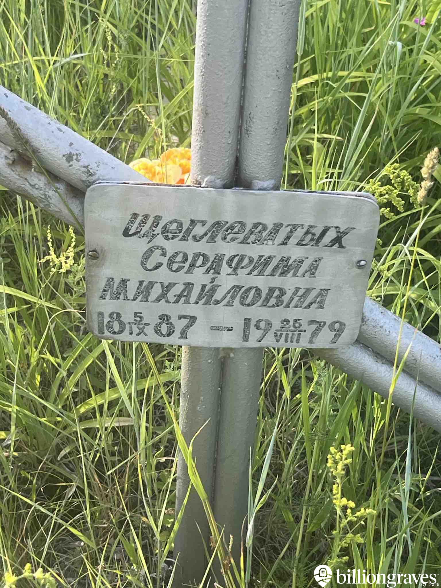 Щеглеватых Серафима Михайловна
