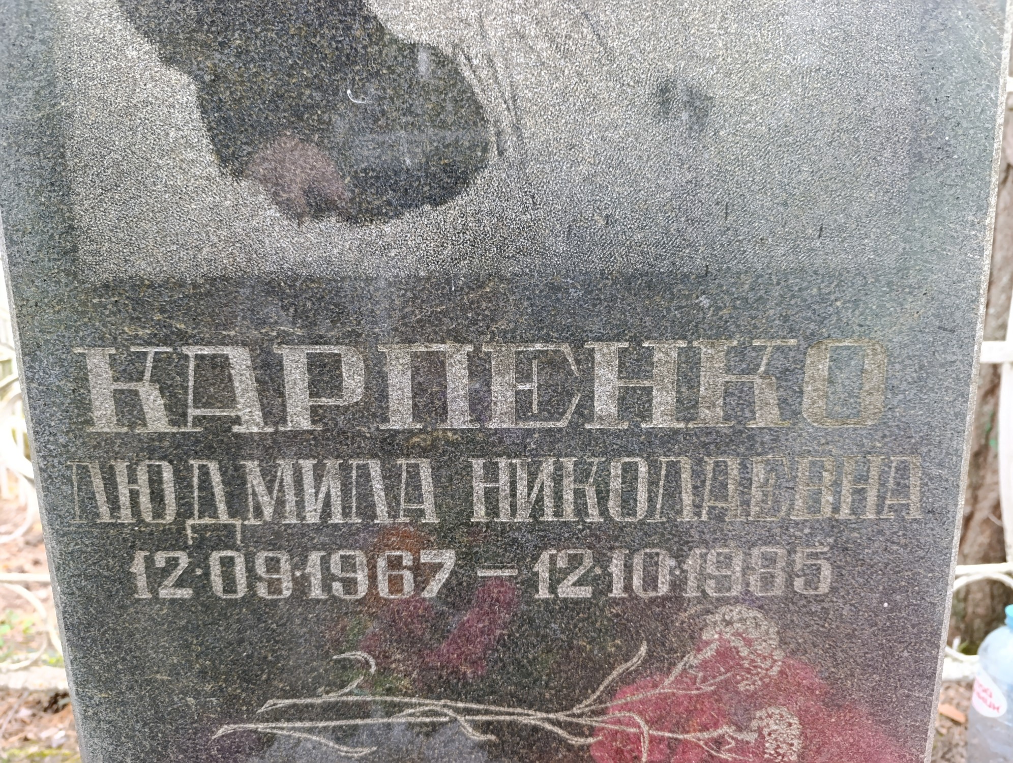Карпенко Людмила Николаевна