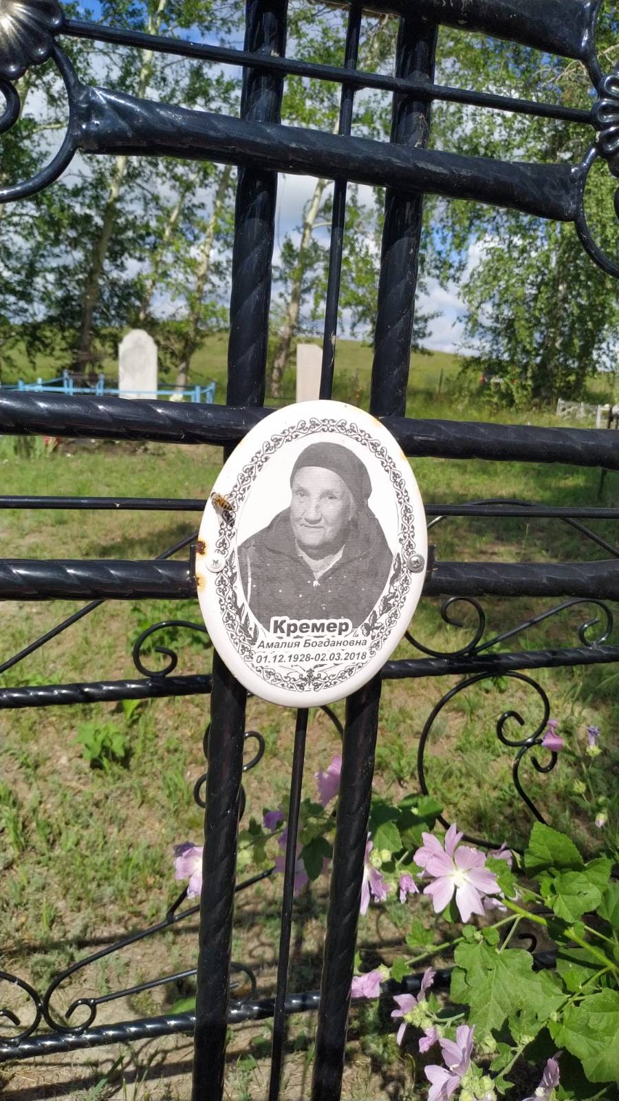Кремер Амалия Богдановна