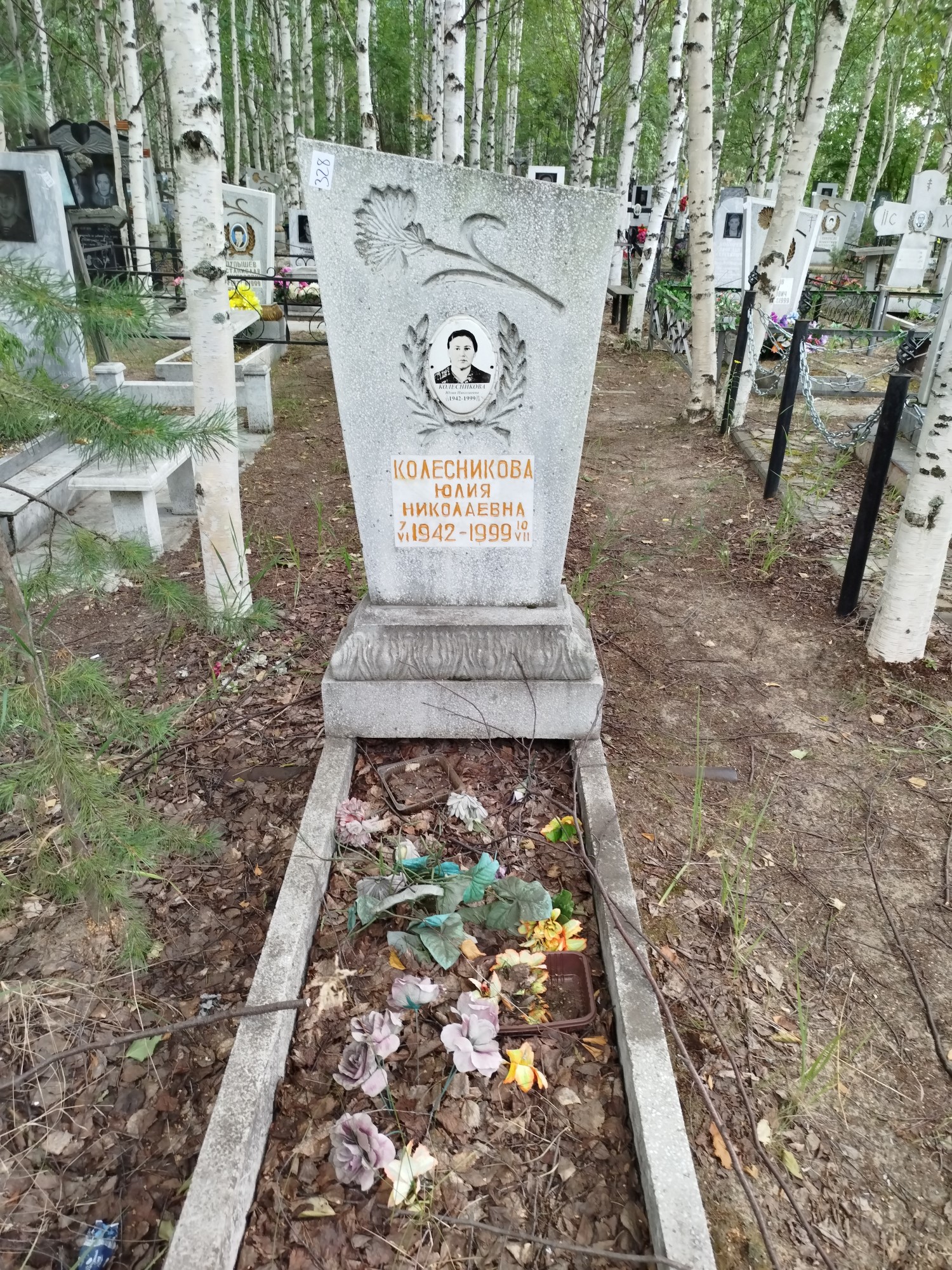Колесникова Юлия Николаевна