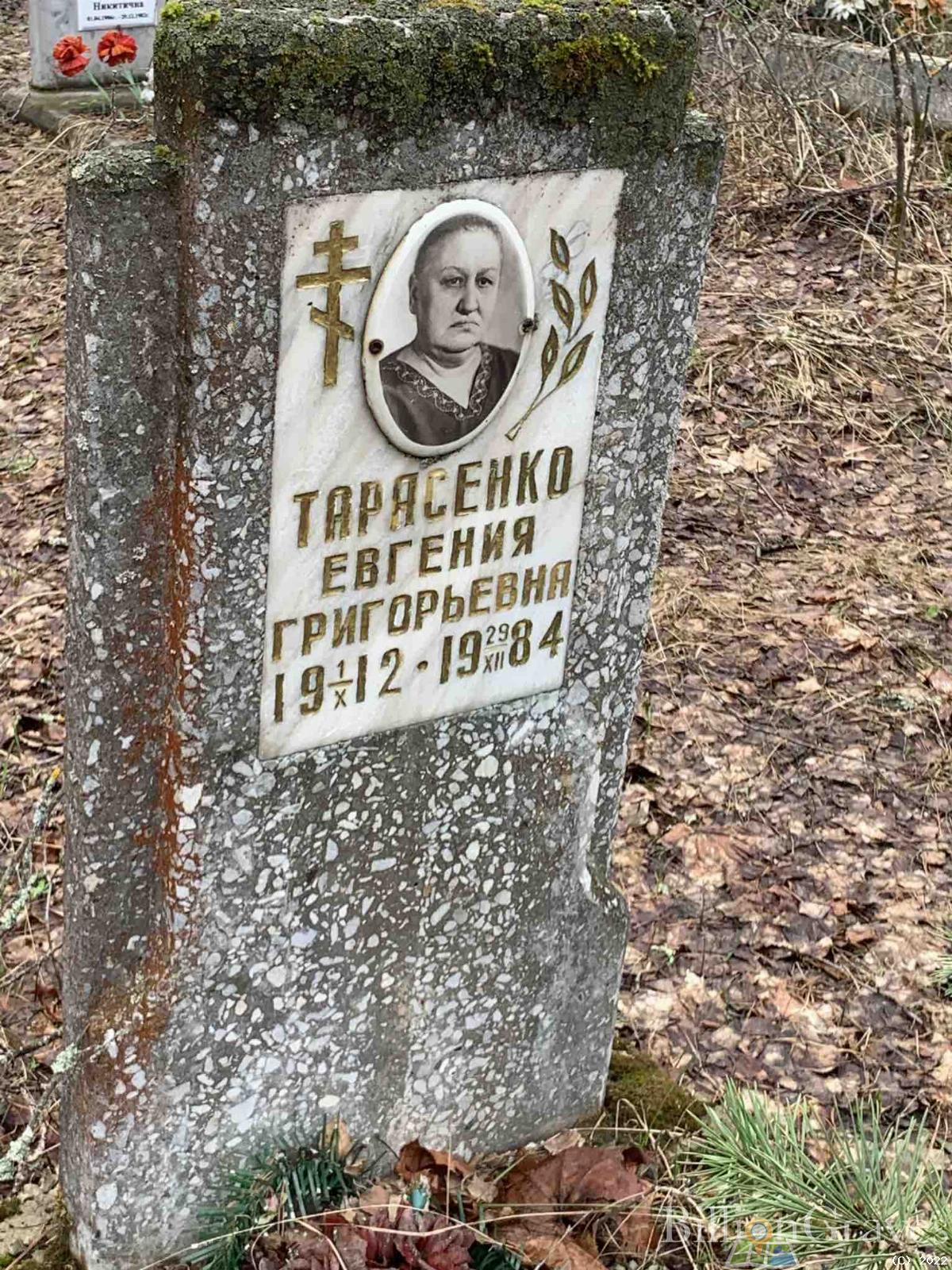 Тарясенко Евгения Григорьевна