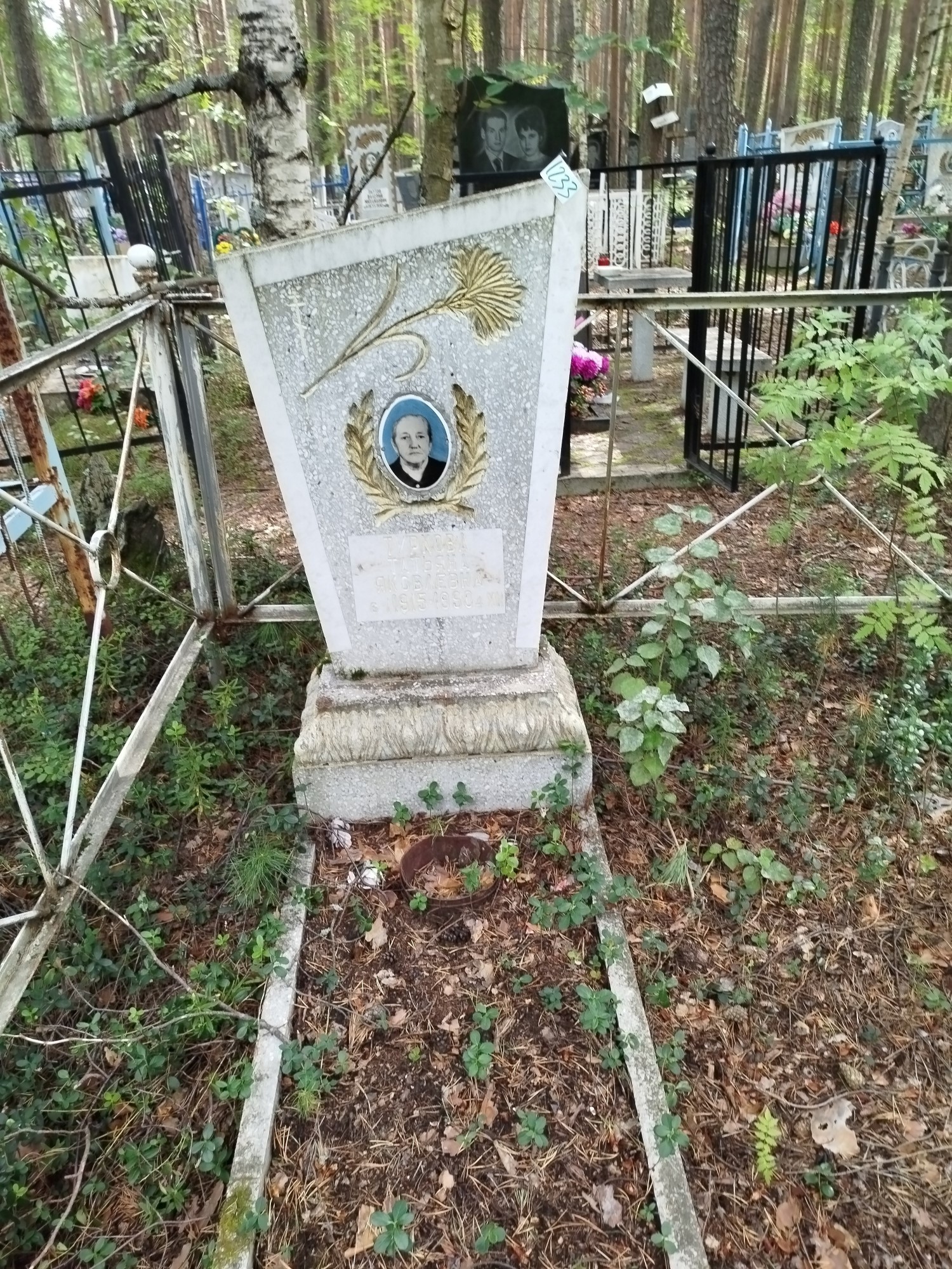 Туркова Татьяна Яковлевна