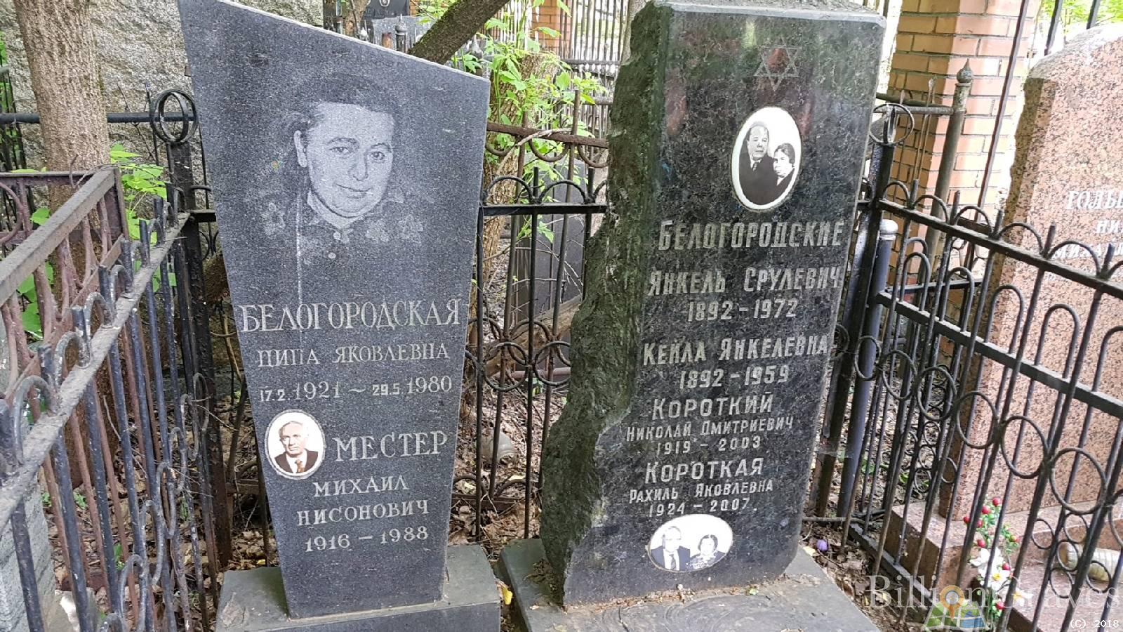 Белогородская Ципа Яковлевна