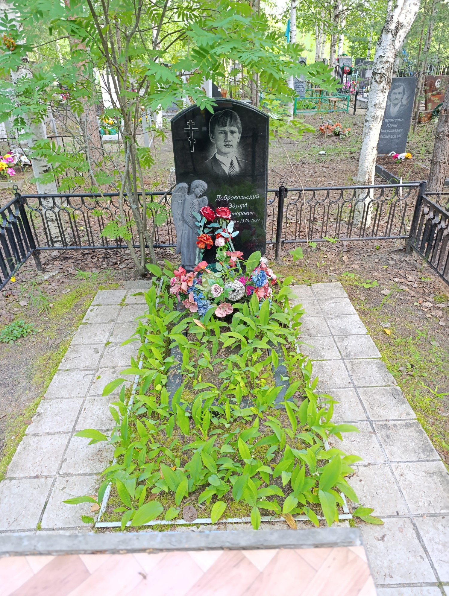 Добровольский Эдуард Викторович
