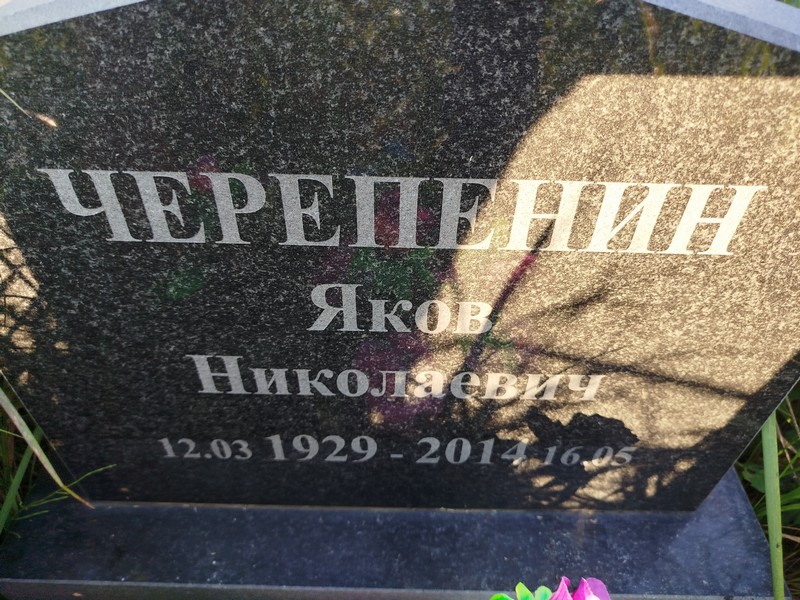 Черепенин