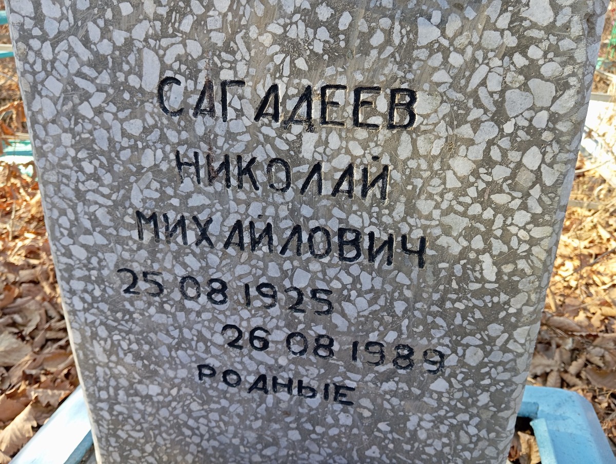 Сагадеев Николай Михайлович