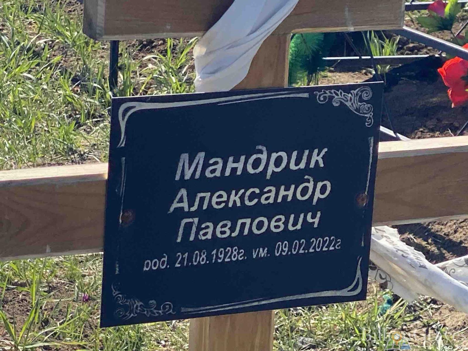 Мандрик Александр Павлович