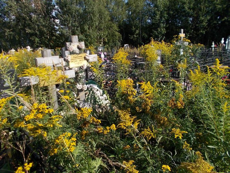 Тарасов Александр Егорович