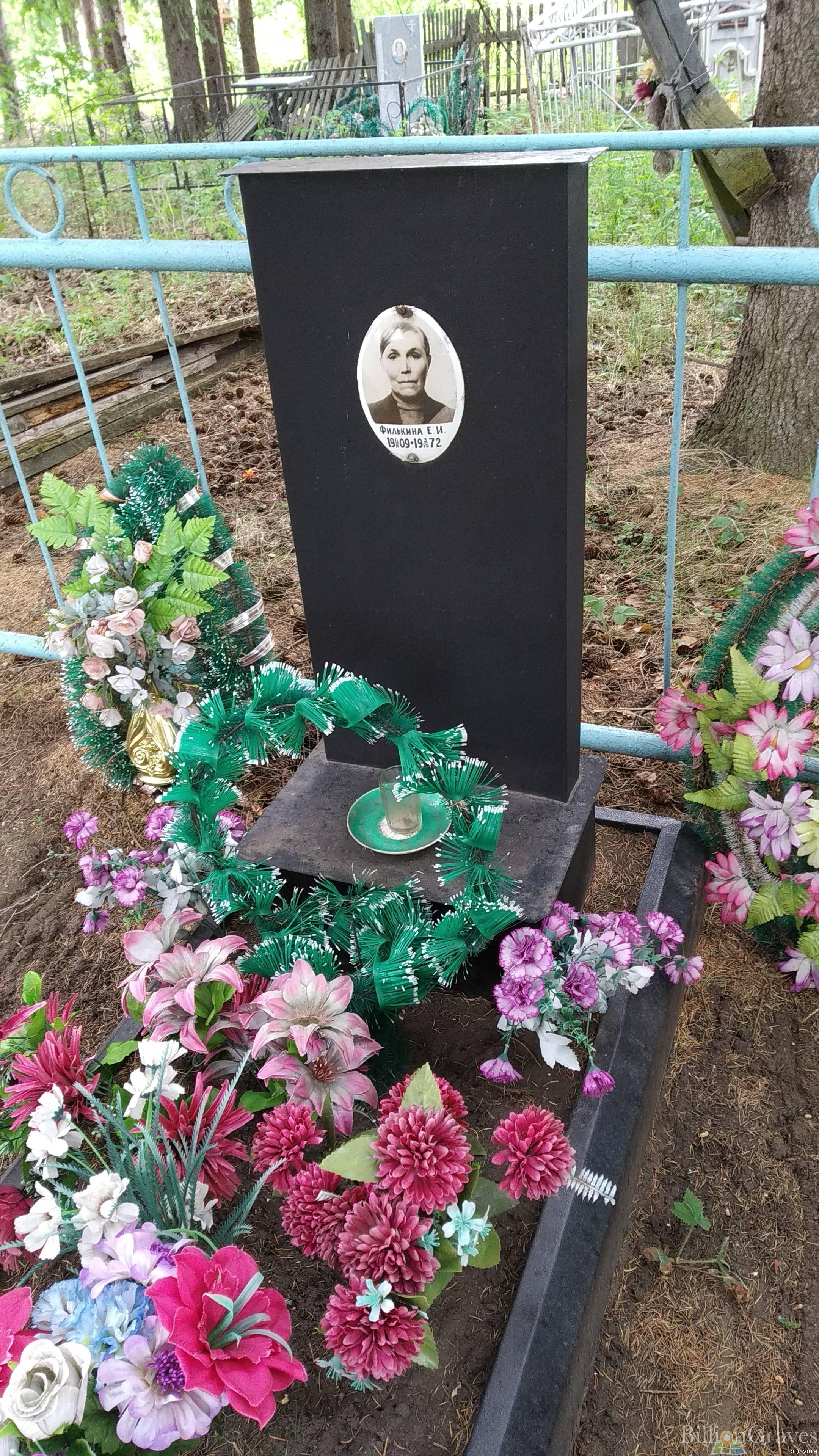 Филькина Елена И.