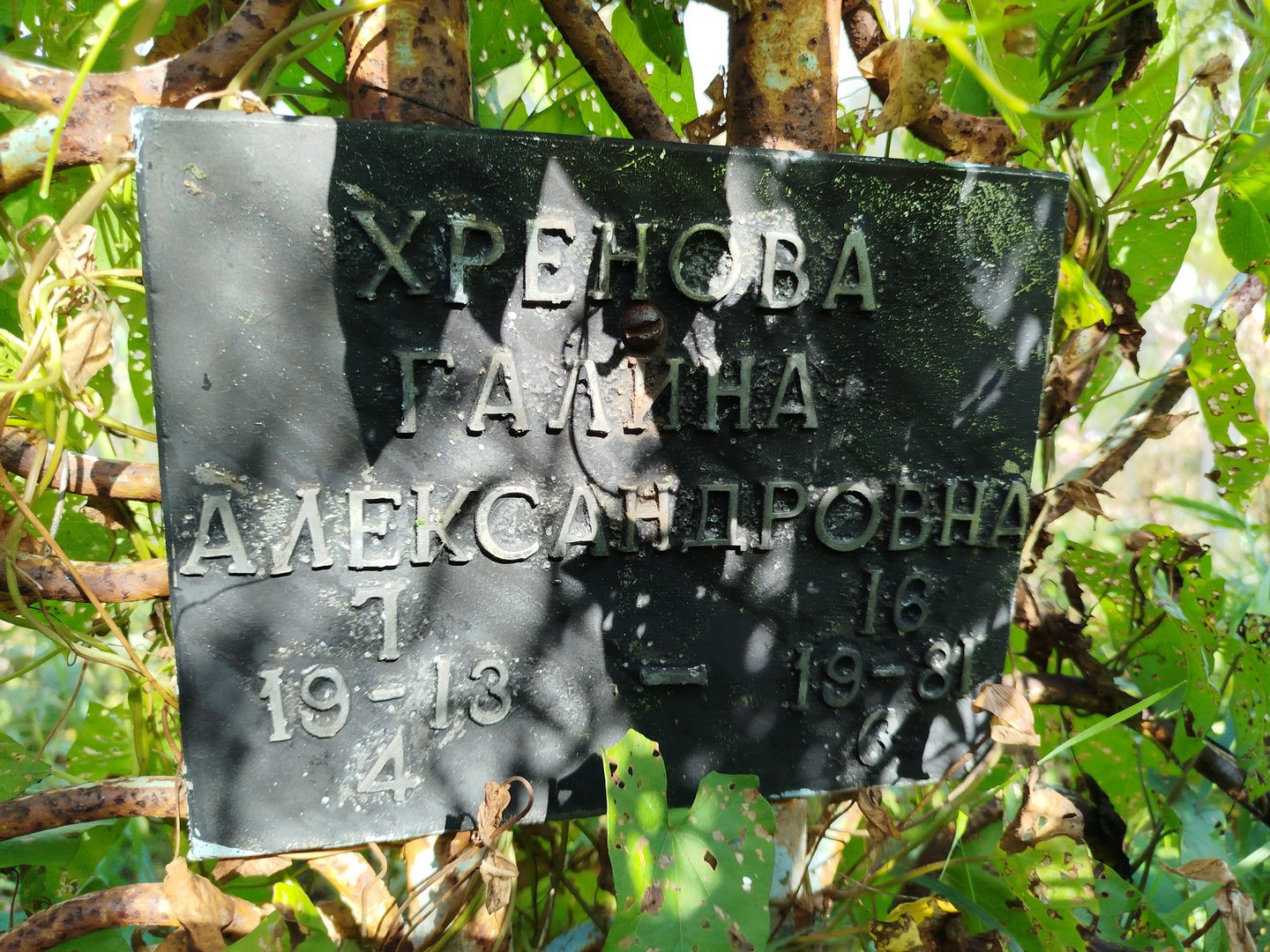 Хренова