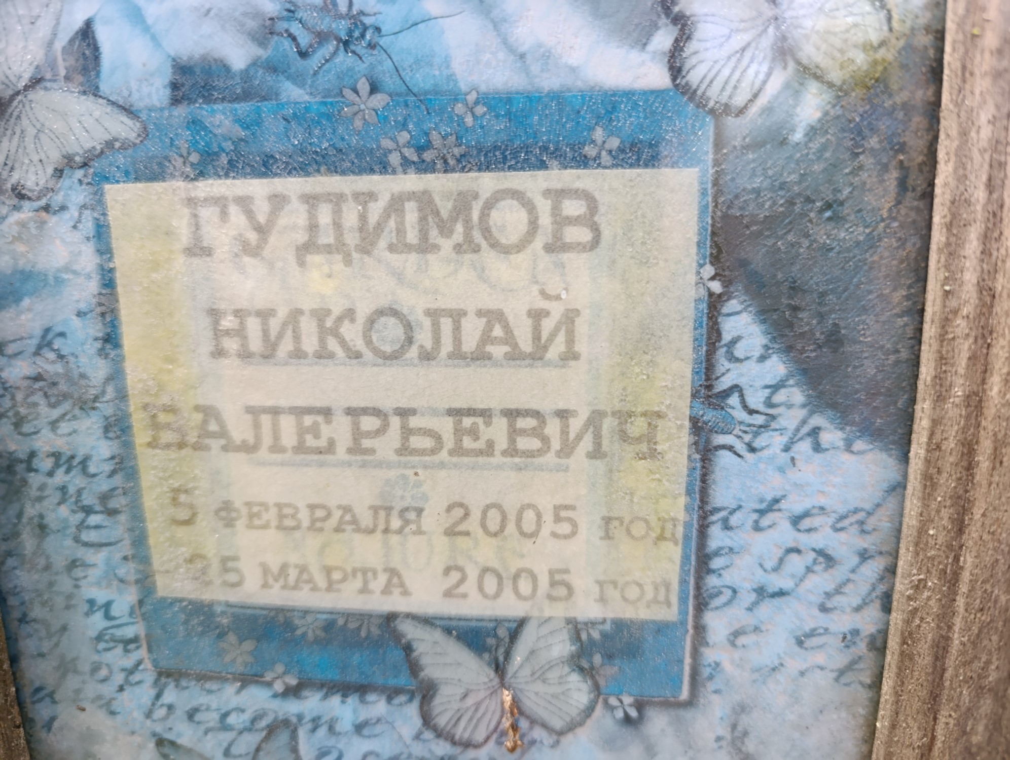 Гудимов Николай Валерьевич