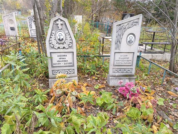 Анохин Владимир Митрофанович