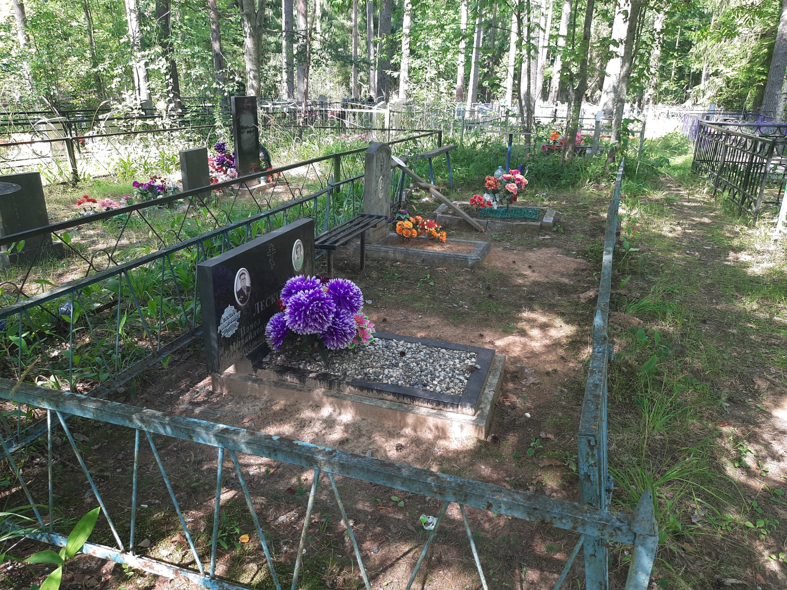 Лескова Анна Андреевна