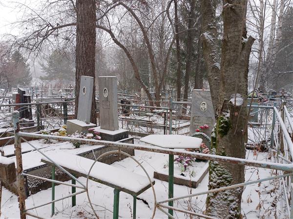 Махнев Анатолий Алексеевич