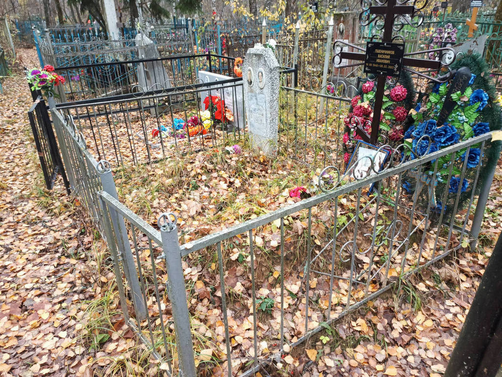 Пшеничникова Елизавета Борисовна
