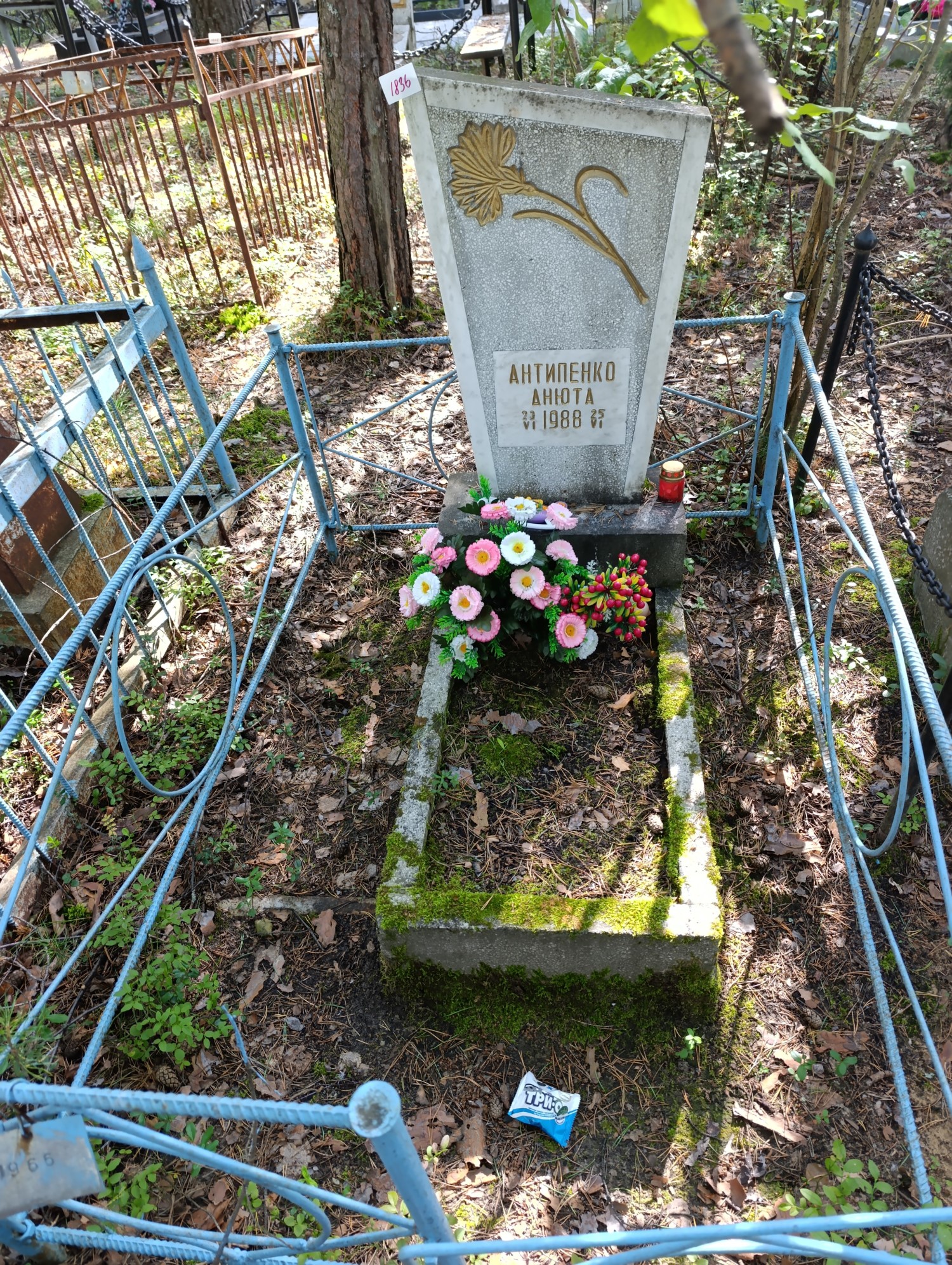 Антипенко Анна