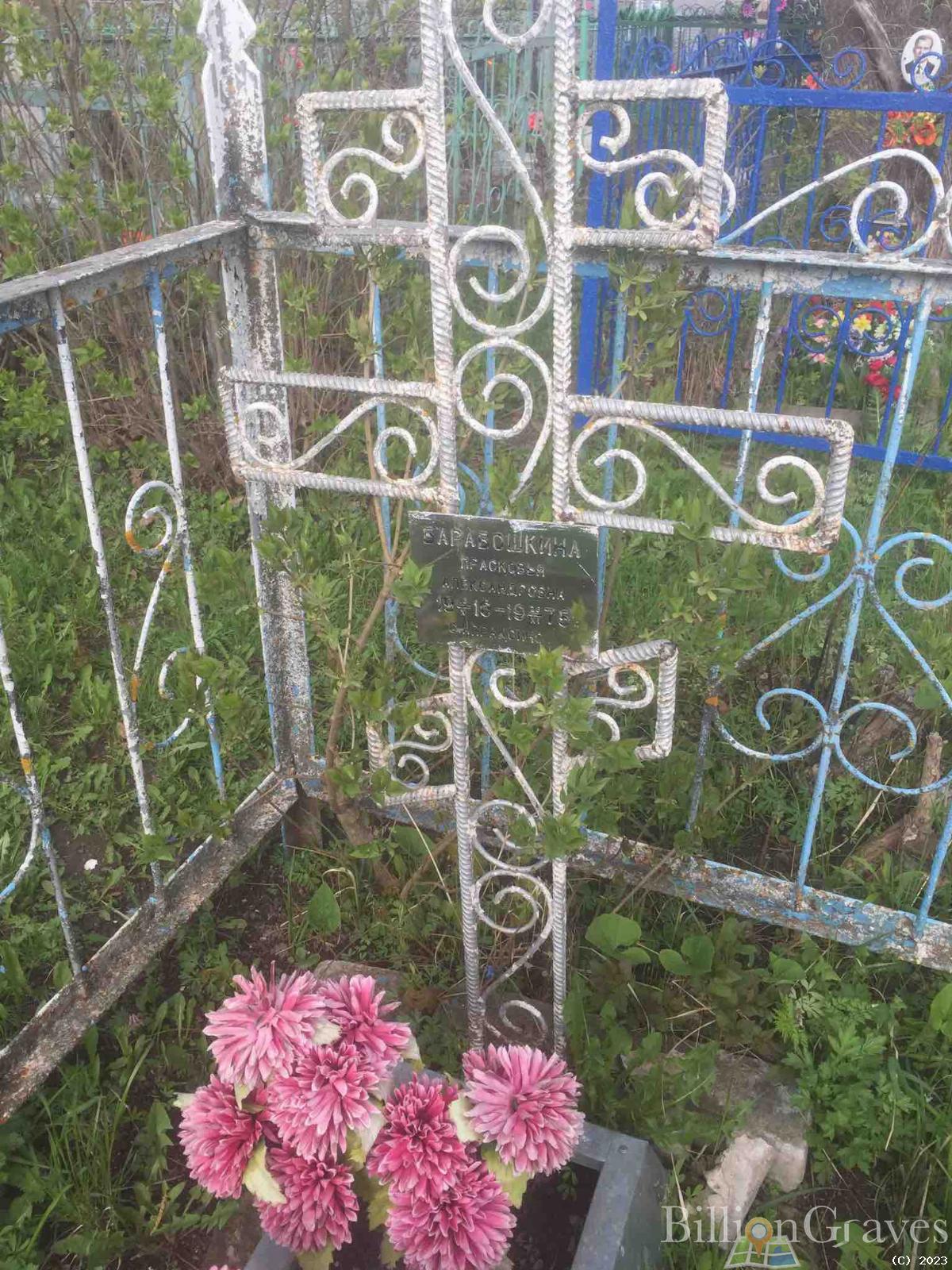 Барабошкина Прасковья Александровна