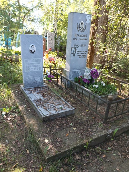 Нелюбин Тимофей Иванович