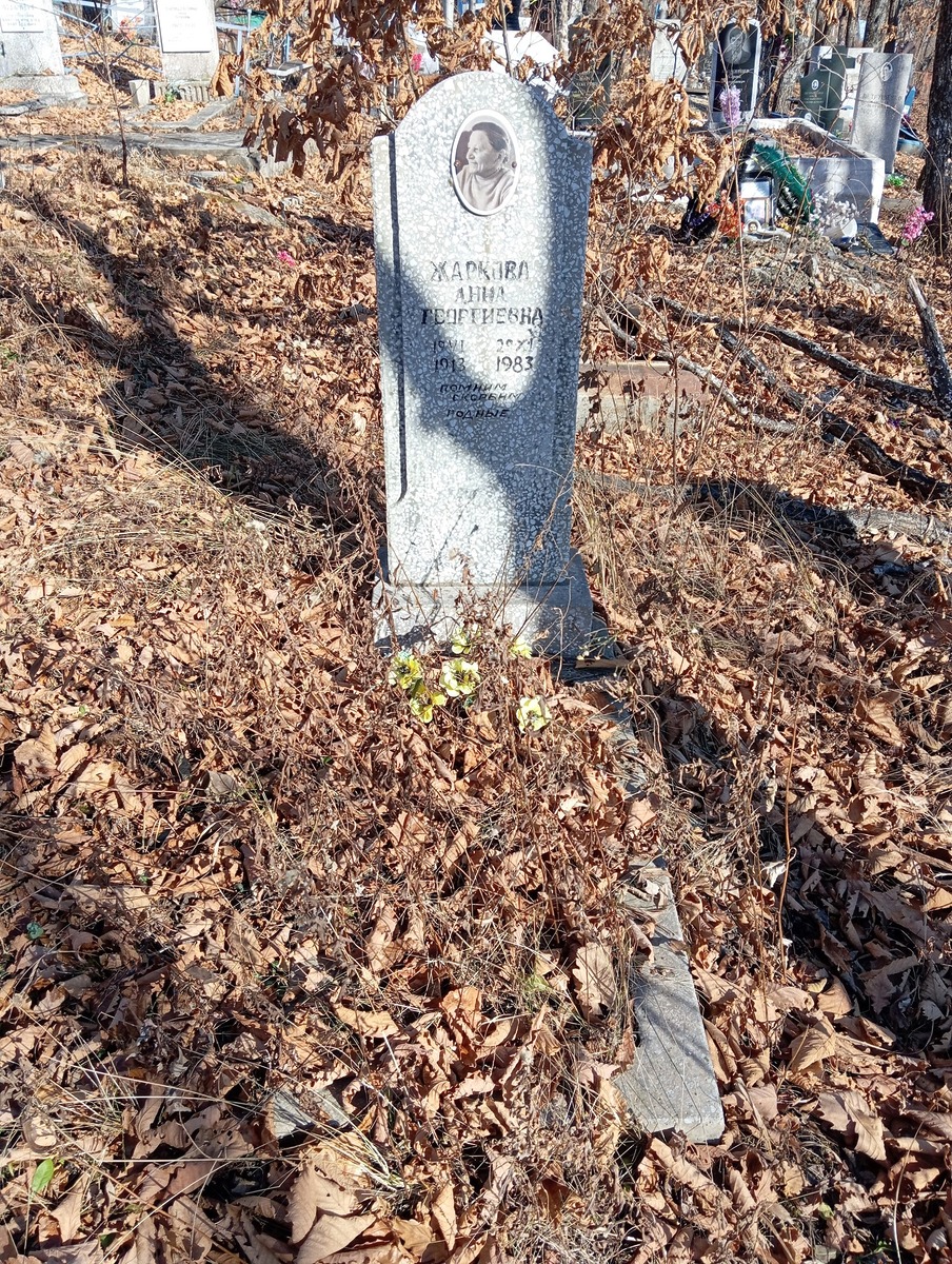 Жаркова Анна Георгиевна