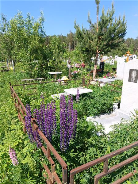Лучинин Николай Николаевич