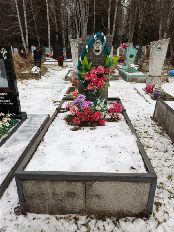 Алмаев Виталий Васильевич