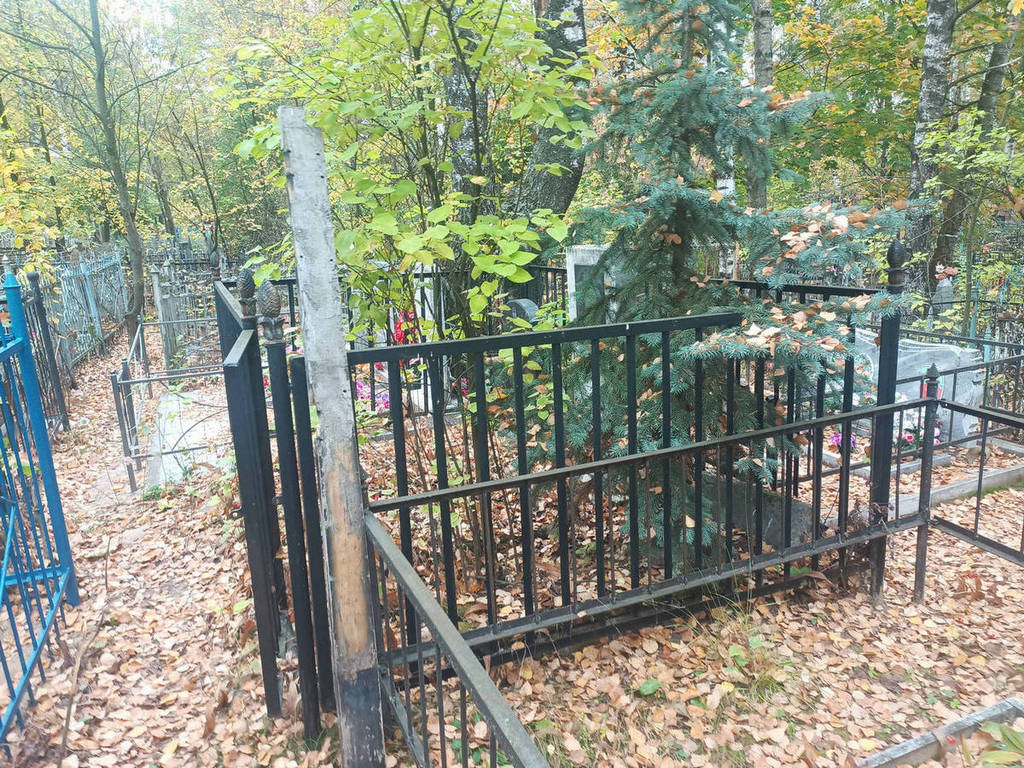 Татарникова Галина Владимировна