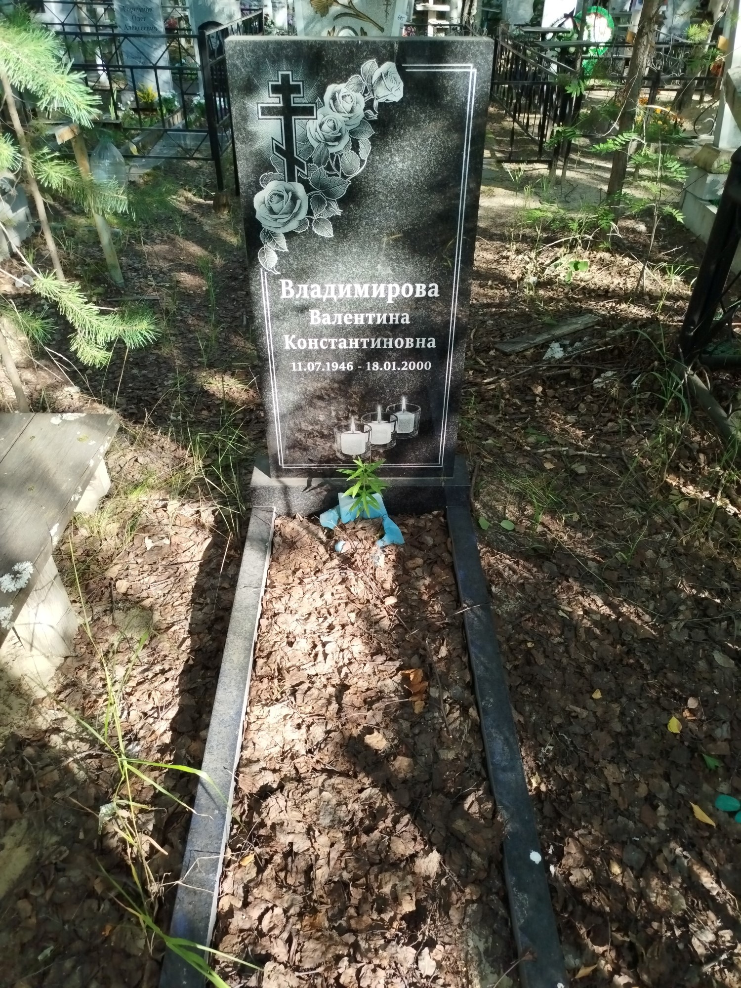 Владимирова Валентина Константиновна