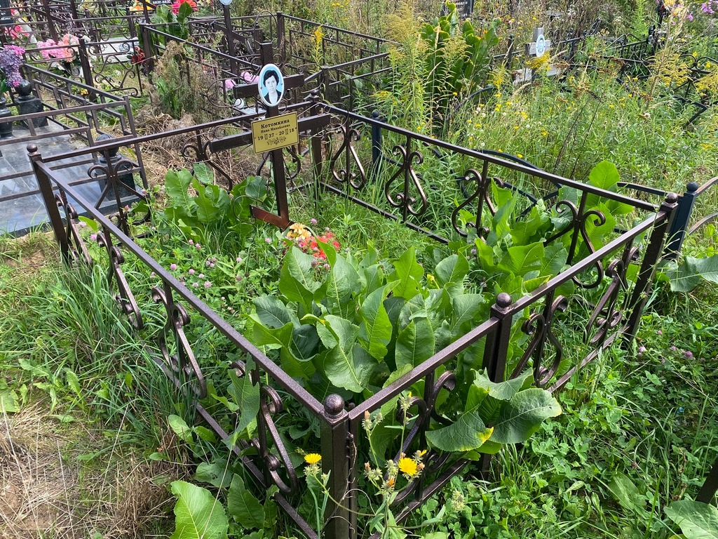 Котомкина Нина Михайловна