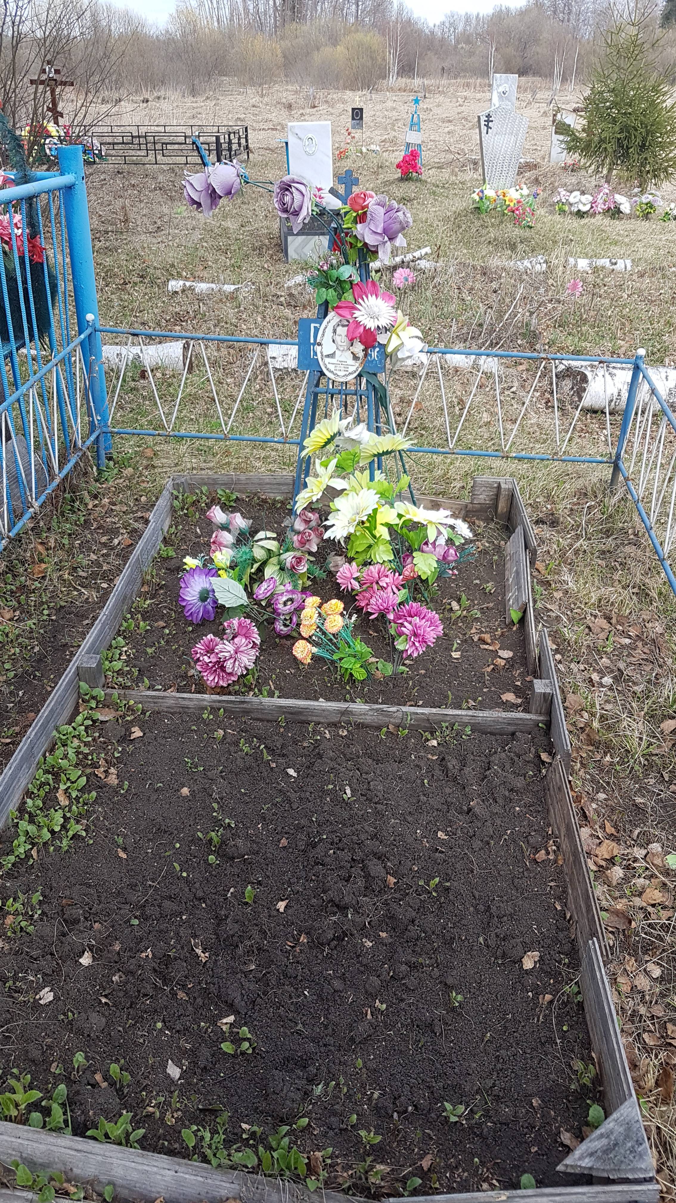 Горлов Владимир Михайлович