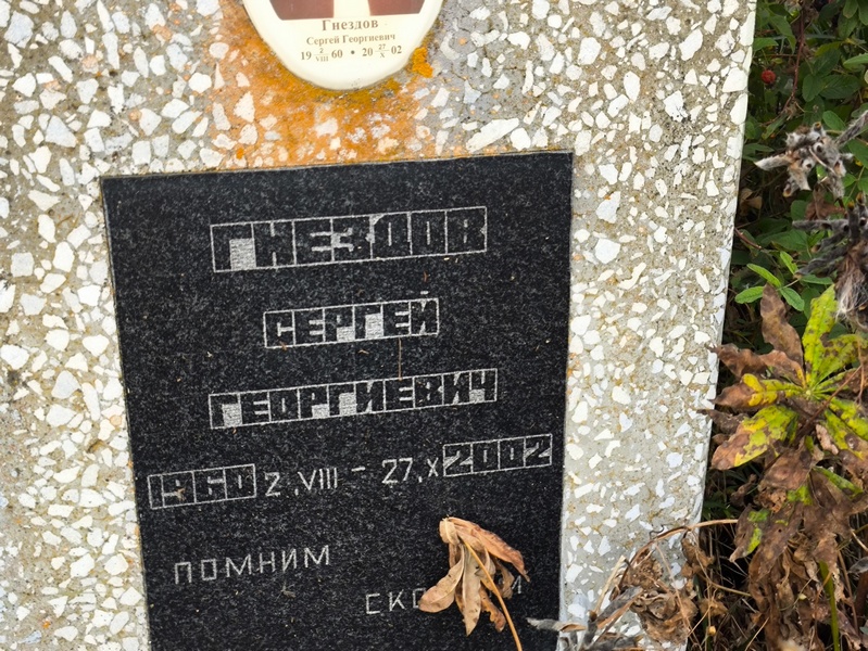 Гнездов