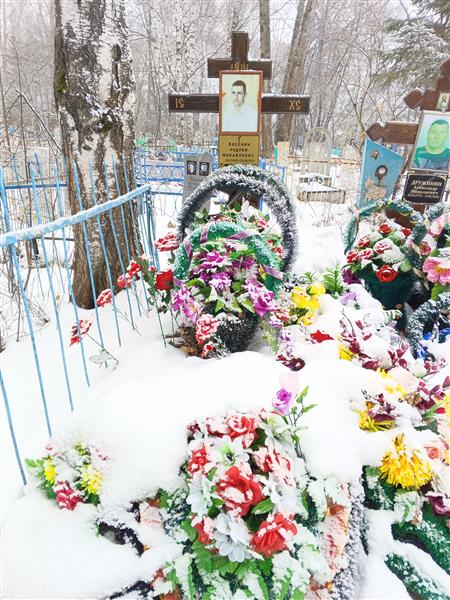Васенин Андрей Михайлович