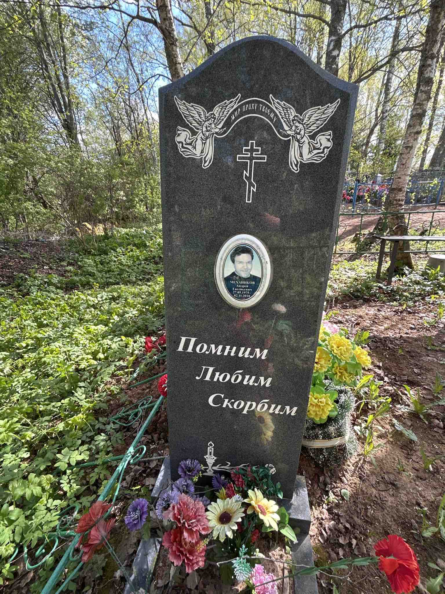 Механиков Андрей Евгеньевич