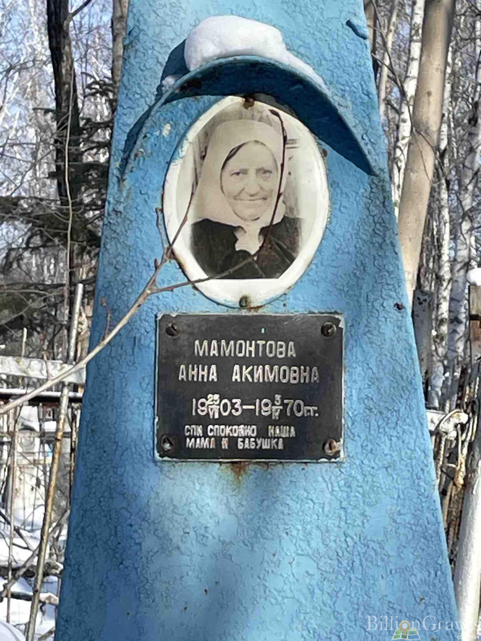 Мамонтова Анна Акимовна