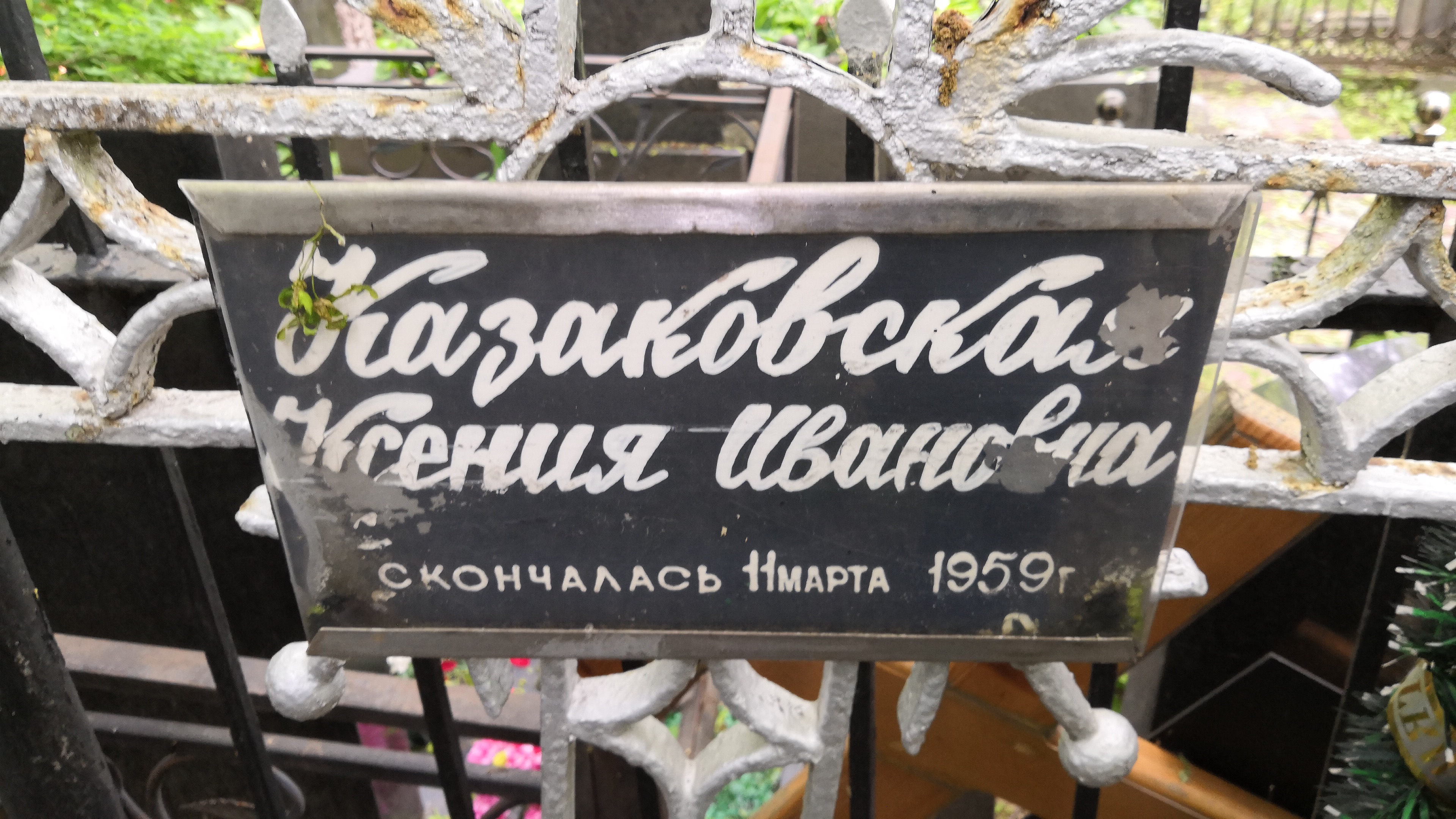 Казаковская Ксения Ивановна