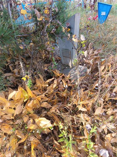 Чернышев Александр Николаевич