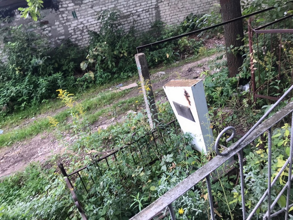 Романова Наташенька