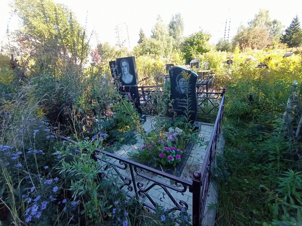 Мамонова Антонина Ивановна