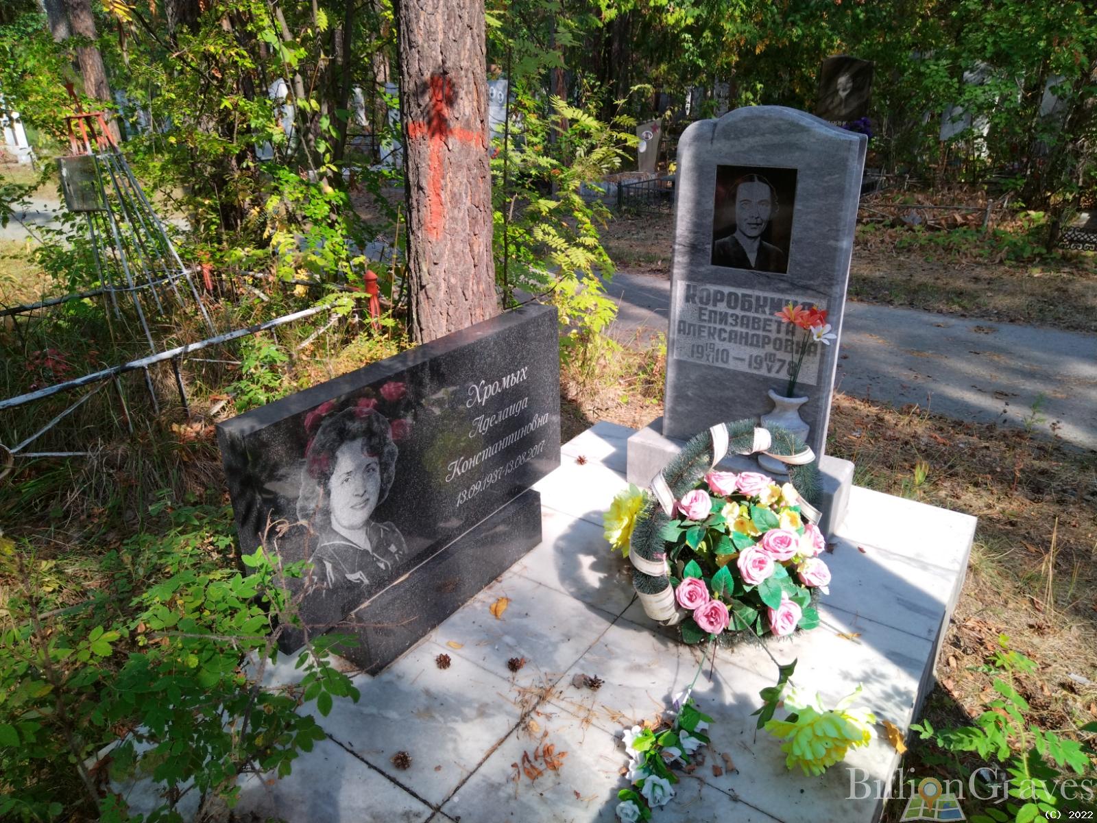 Коробкина Елизавета Александровна