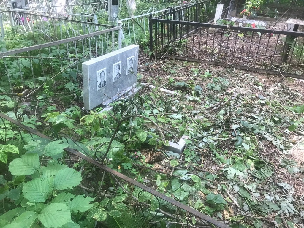 Трынин Николай Павлович
