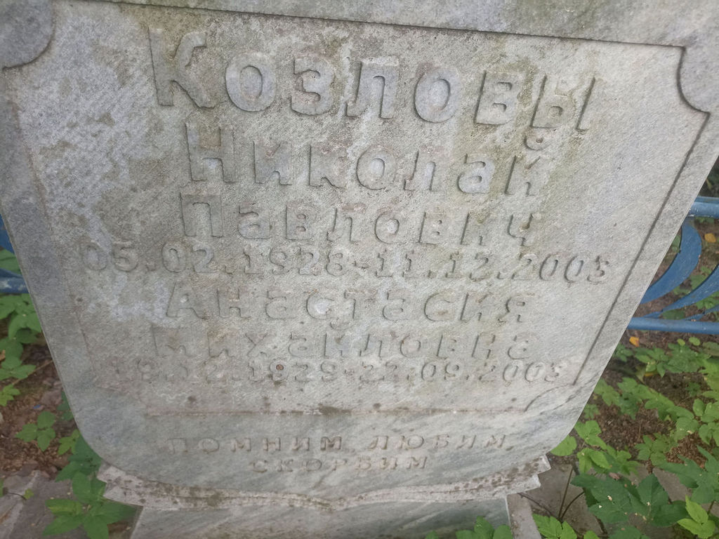 Козлова Анастасия Михайловна