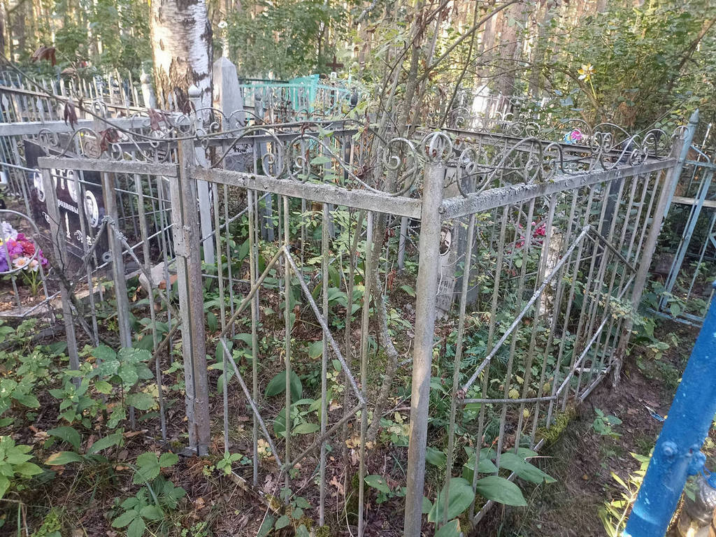 Заплатин Михаил Анатольевич